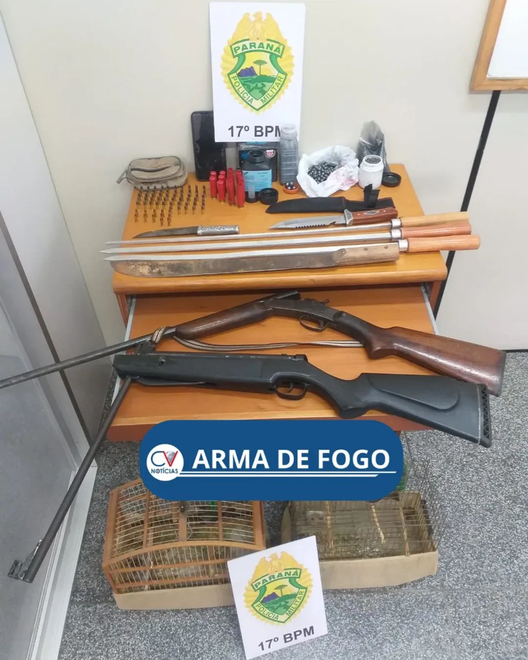 Homem é preso com armas e munições após ameaçar ex-companheira em Balsa Nova